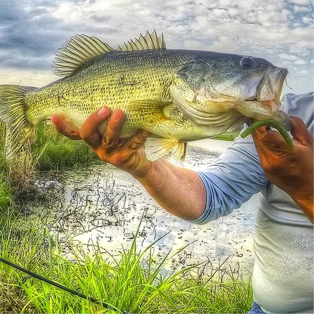 Jig Head Weedless Wacky Elite TG – Anzuelo para lubina y lucioperca - imagen 5