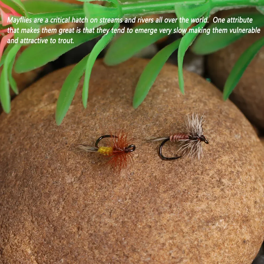 Bimoo 8PCS # 20 Barbless Mayfly Dryfly gallo Hackle cebo para insectos artificiales trucha perca Grayling Bluegill Señuelos de pesca cebos - imagen 5