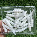 GD26 20PCS  04