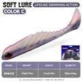 ColorC-12PCS