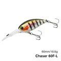 Chaser 60F-L