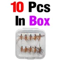 10pcs  in box