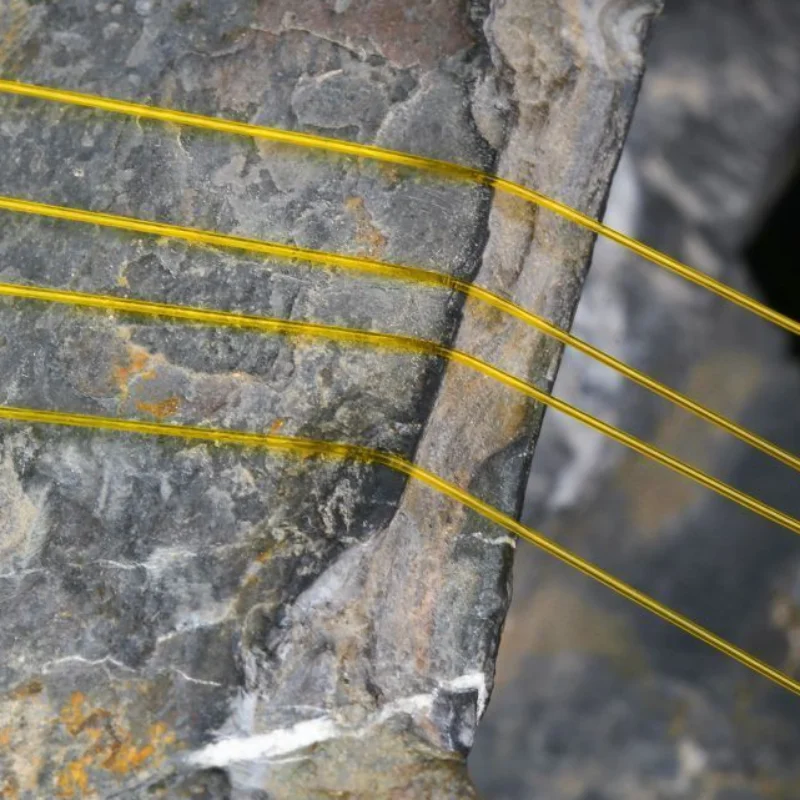 Explore la belleza de la naturaleza con estas vibrantes líneas amarillas contra un telón de fondo de piedra resistente