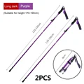 Purple Long 2PCS
