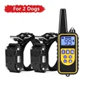 For 2 dogs Black