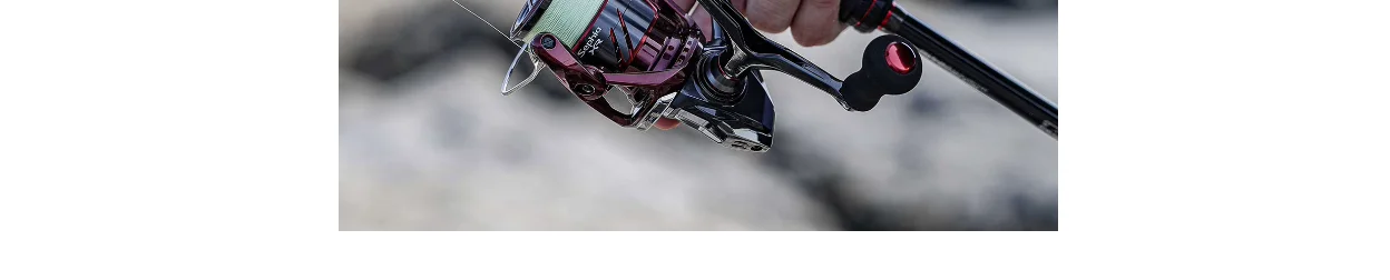 Detalle del cuerpo y rotor del Sephia XR