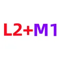L2 M1