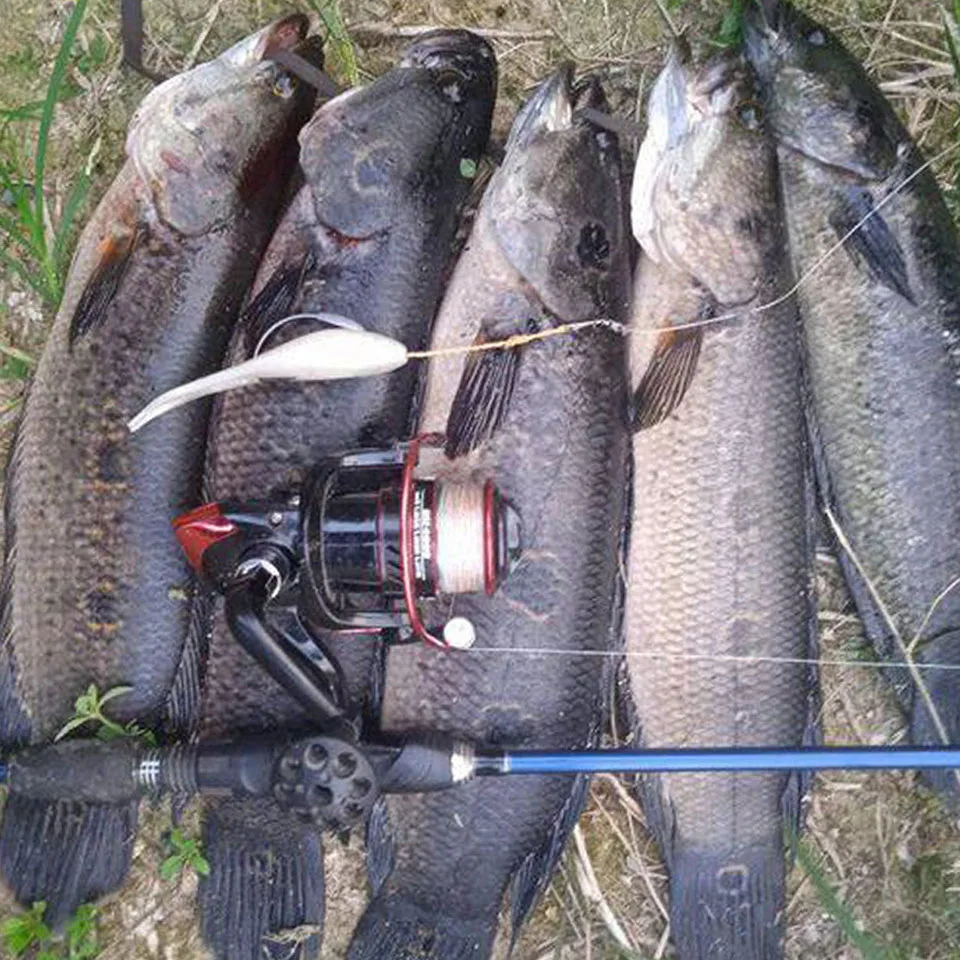 WALK FISH-señuelo flotante suave de 5 unids/lote, 120mm/10g, cebo de pesca de tiro caído, cola dividida, Wobblers, perca, aparejos de cebo Artificial - imagen 4