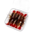 10Pcs In Box