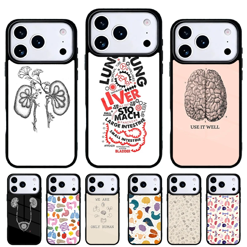 Funda iPhone con diseño de órganos humanos – Cerebro y riñón