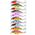 10pcs Lures-C