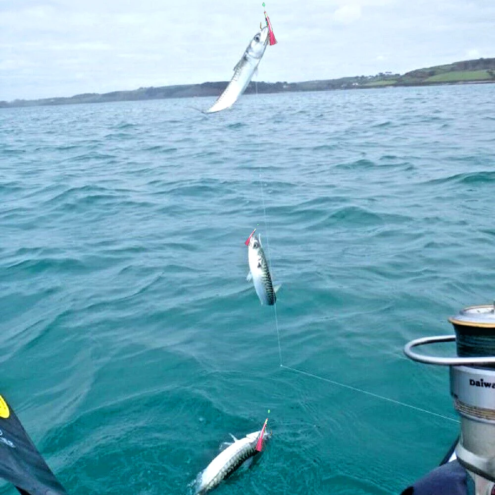 5 uds taladro Sabiki pesca en el mar, taladro de cebo preatado 30 ganchos, cuentas luminosas e insectos artificiales agua dulce/salada - imagen 5
