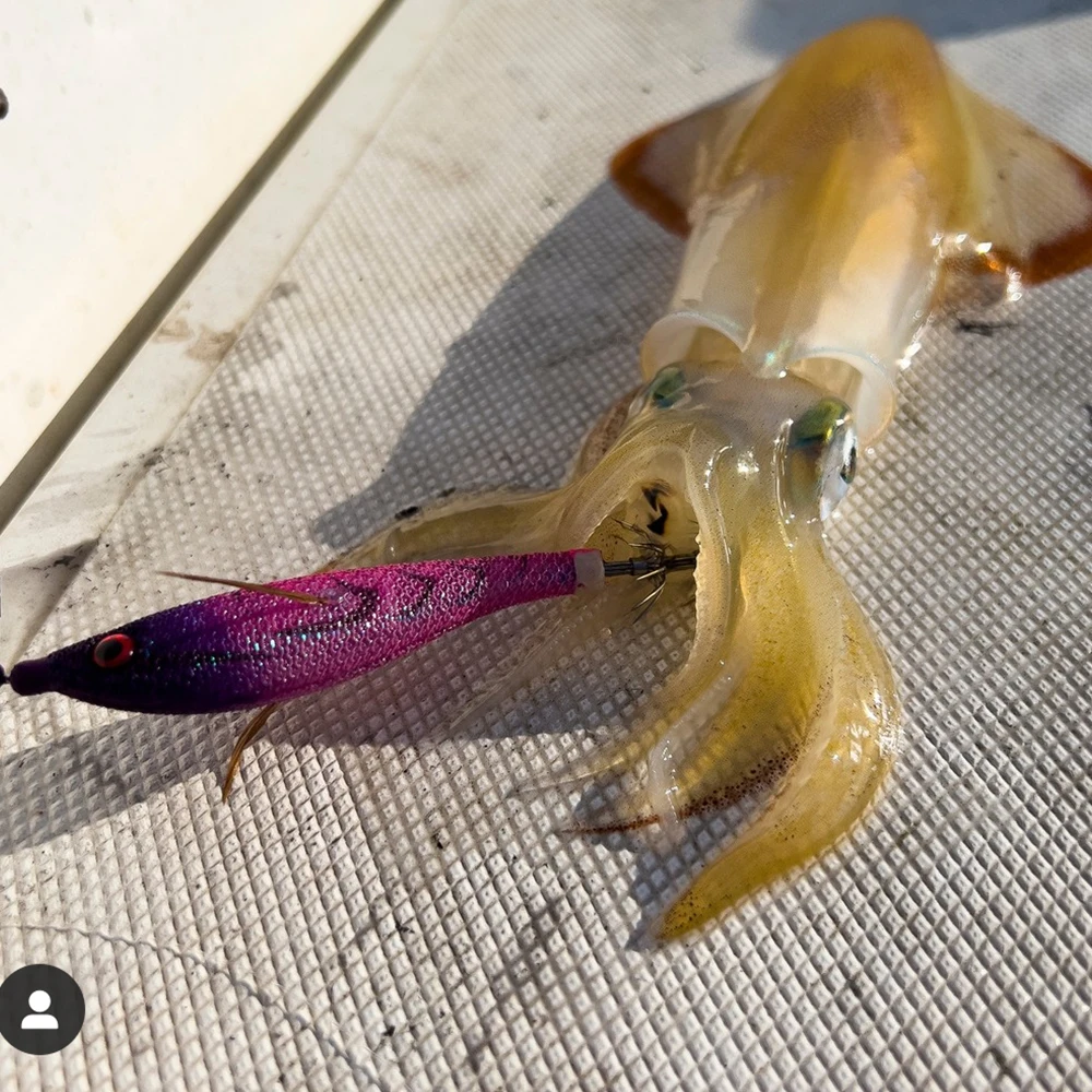 Cebo de calamar Egi, señuelos artificiales de Jigging, 10cm, 12g, anzuelos de calamar de hundimiento lento, pesca en el mar, pulpo, sepia, aparejos luminosos - imagen 4