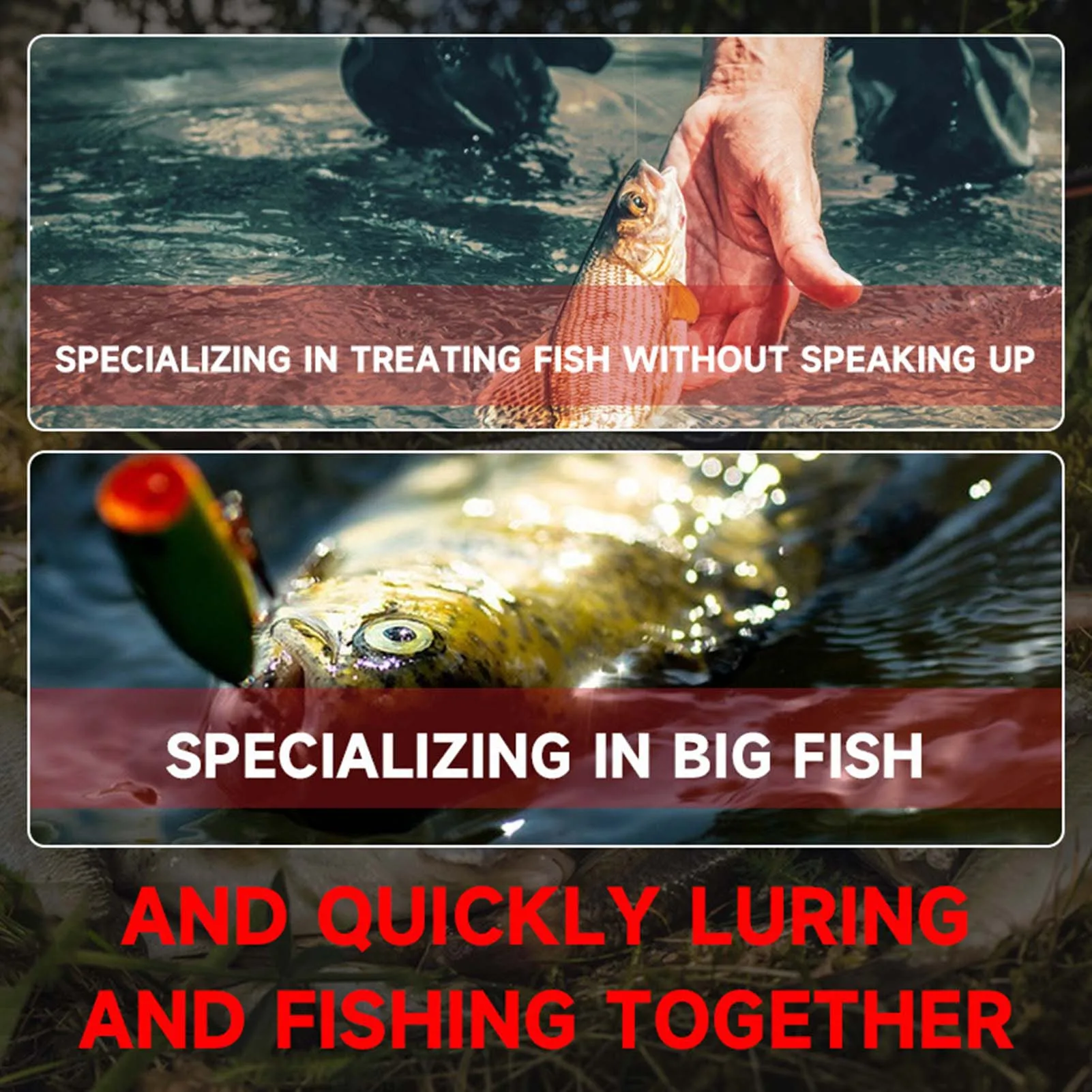 Aditivo de pesca concentrado, cebo de proteína de gusano rojo, atrayente líquido para carpa, cabeza grande, Tilapia, dorada, señuelos aromáticos fuertes - imagen 2