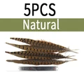 5pcs natural