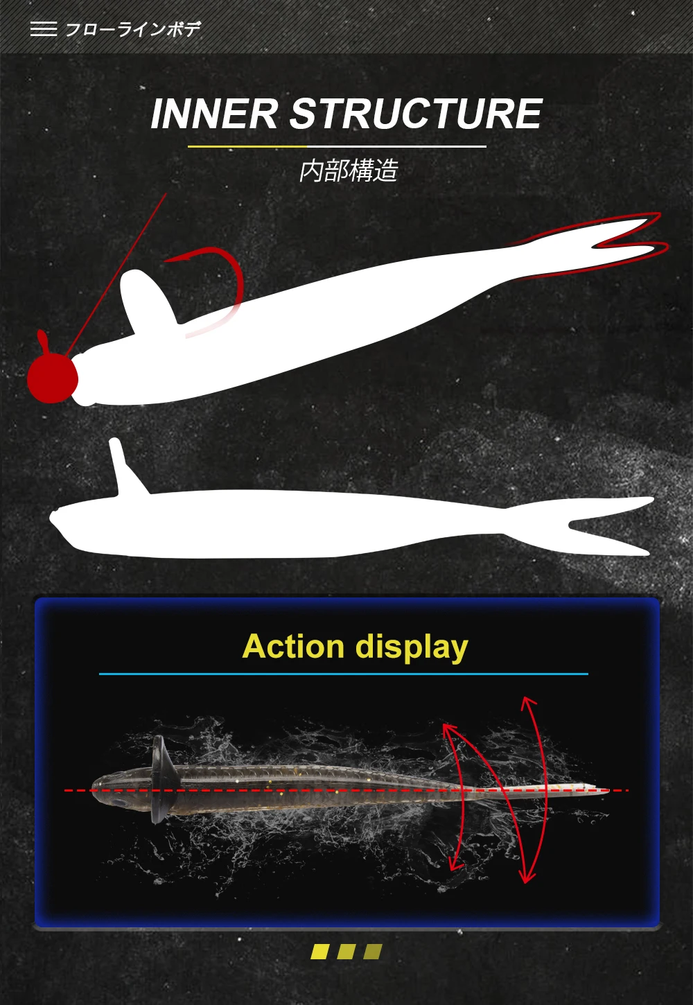 Un diagrama de un pez con una flecha roja que apunta a la estructura interna