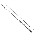 SP