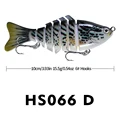 HS066 D
