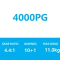 4000PG