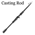 Casting Rod