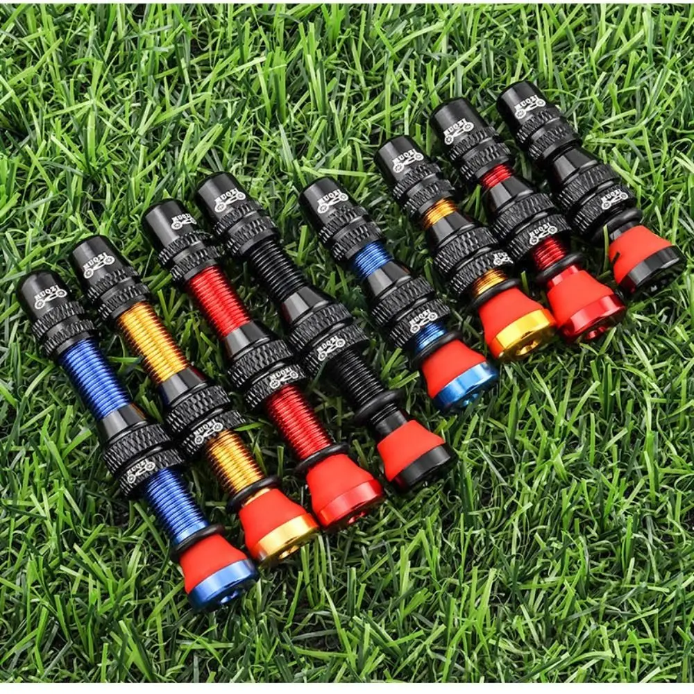 Válvulas Schrader para bicicleta tubeless – Aluminio y latón con llave