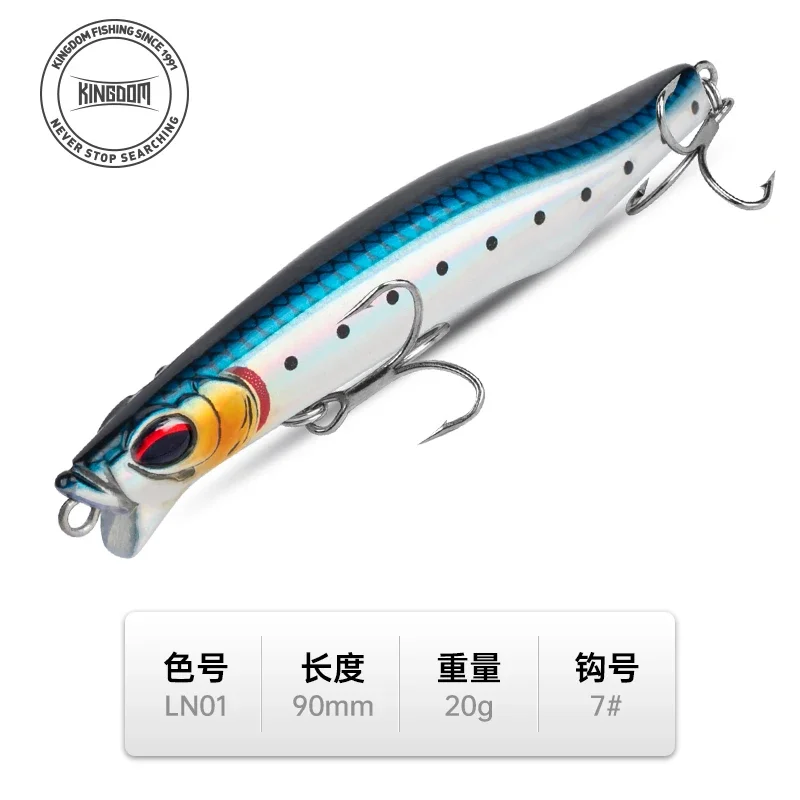 20G-9CM-LN01