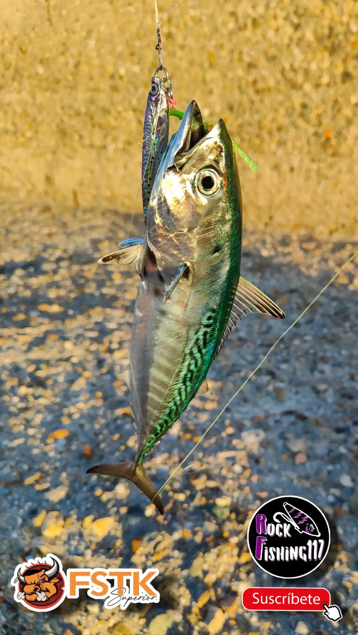 FSTK-señuelo de Jigging en alta mar, plantilla de Metal, 20g30g40g, plantilla lenta, pesca de lubina para perca, cuchara realista, cebo Artificial láser con impresión 3D - imagen 2