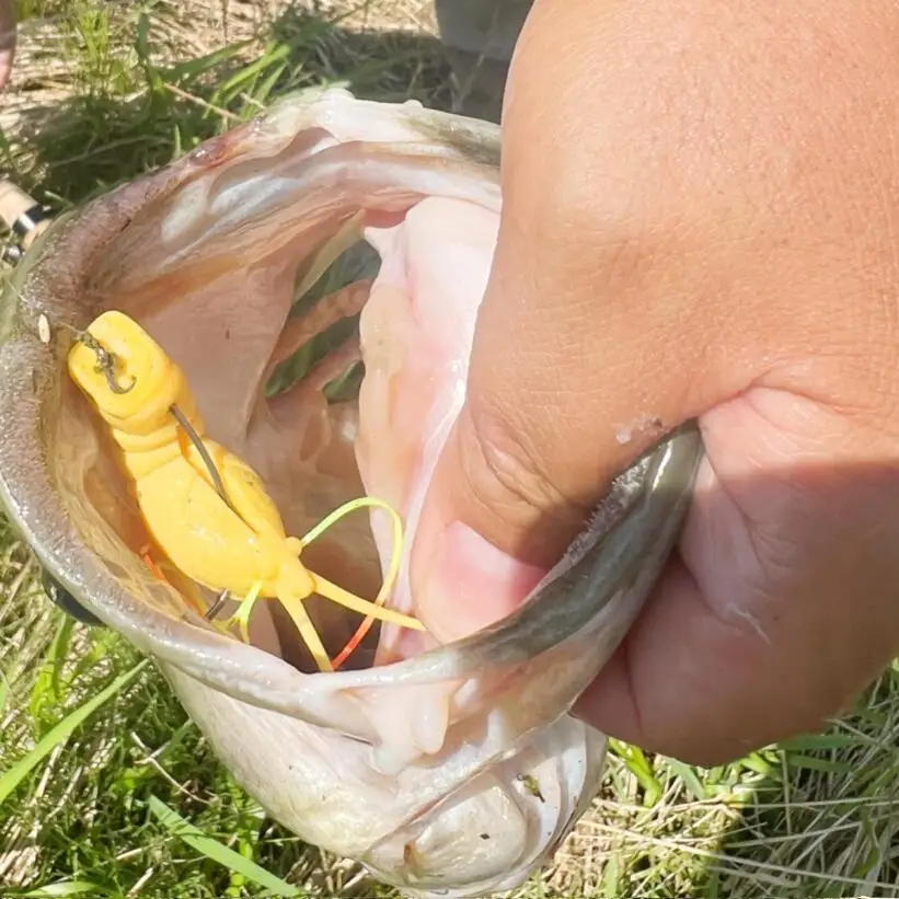 Japón O.S.P OSP importado EBIDANCE espuma Material elástico señuelo camarones Yi Zhi perro se mueve rápidamente - imagen 4
