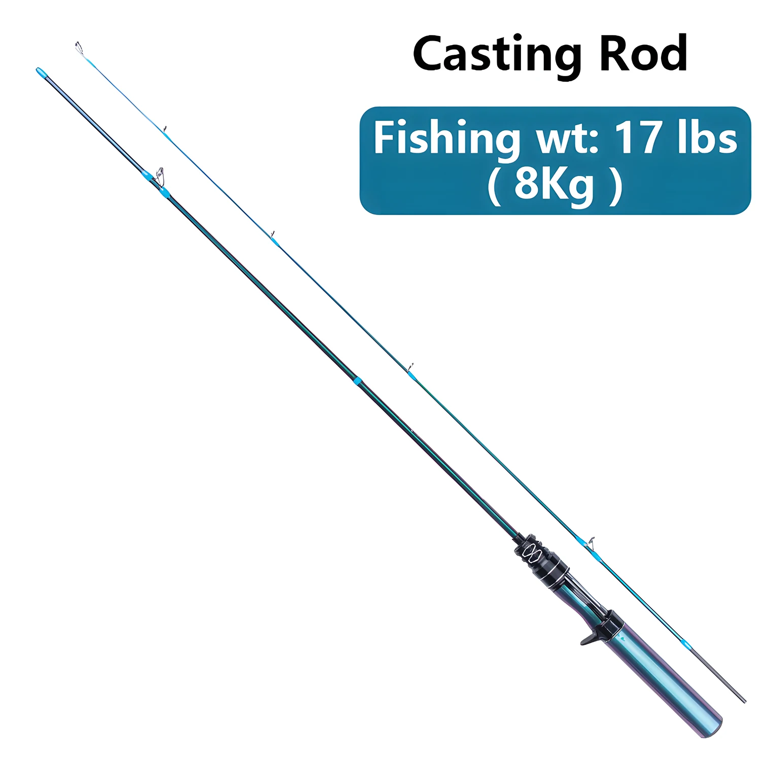 Casting Rod