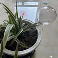 L-Transparent