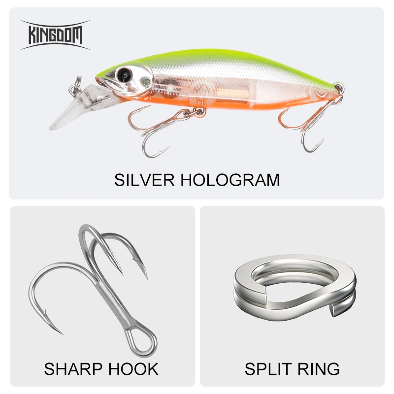 Kingdom Sinking Minnow – Wobbler duro con sonido para lubina - imagen 2