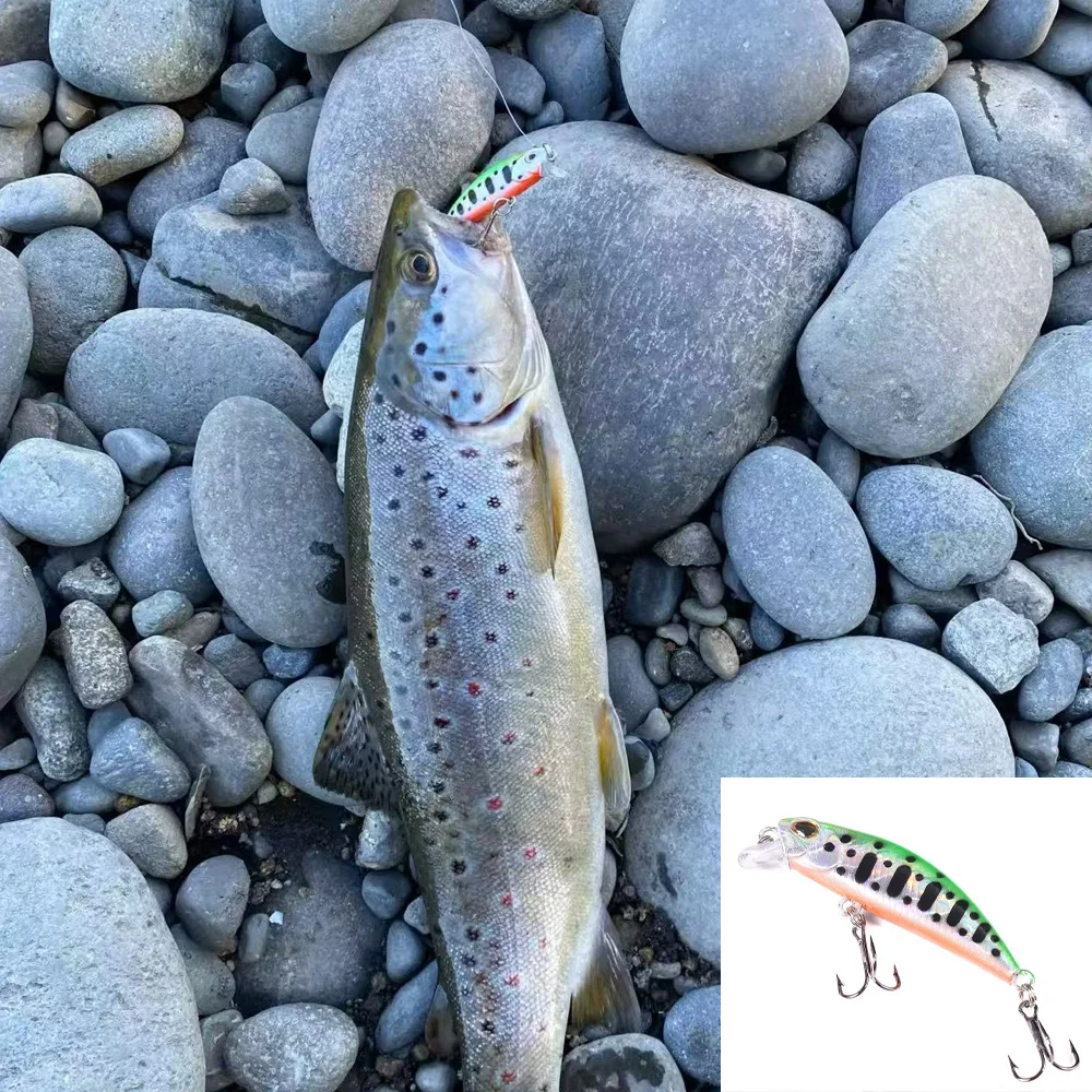 5 uds Kit de Señuelos de Pesca hundimiento Minnow trucha cebo Artificial manivela cebo lubina gancho Wobbler caja de aparejos de pesca flotante Jerkbait - imagen 3