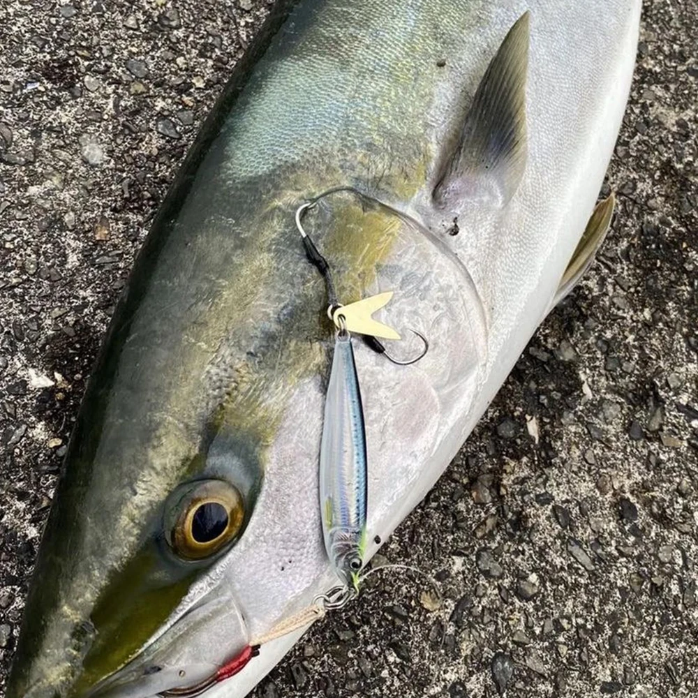 Señuelo de pesca de agua salada fundido, plantilla de Metal de paso lento, arrastre de Jigging, cuchara para lubina, cebo para atún Mahi Wahoo Snaper Buri, 60g80g - imagen 3