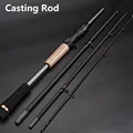 Casting Rod