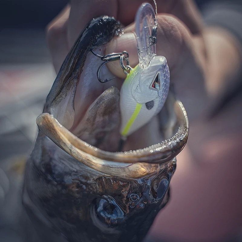 American ARK Mini ruido poco profundo graso CM36 Musta KVD señuelo de gancho personalizado perca de fundición lejana - imagen 2