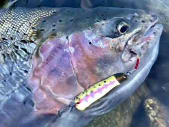 SMITH Smith Mountain-cebo de boca de caballo para trucha, cebo femenino con lentejuelas, Micro-materia Stream, Sub-bait, 4G, 5G, 7g, importado de Japón - imagen 4