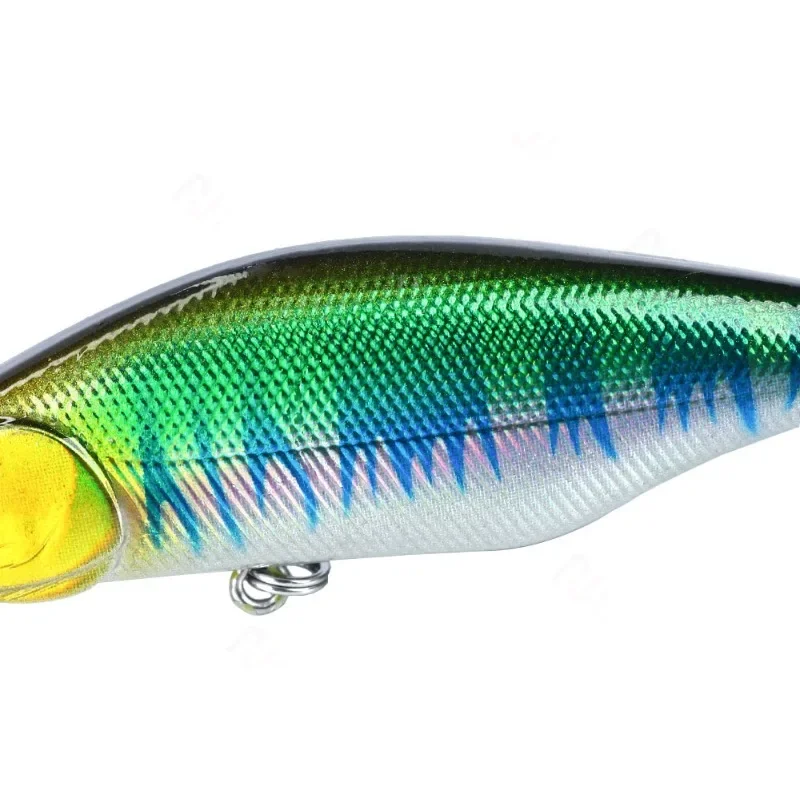 Señuelos de pececillos de placa longtongue, cebos láser flotantes, simulando el campo de gestión de pesca de peces, nuevo - imagen 3