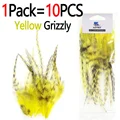 1Pack Yellow Grizzly