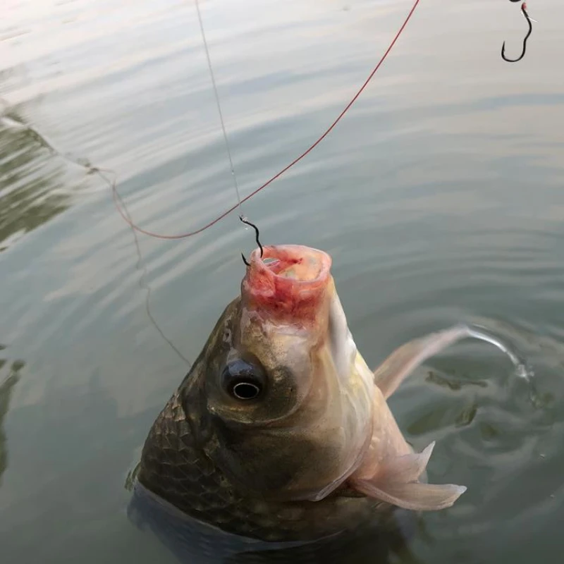 FTK-anzuelos de pesca de carpa de acero al carbono con tapa automática, afilados con púas, 12 unids/lote/paquete, accesorios de pesca - imagen 4