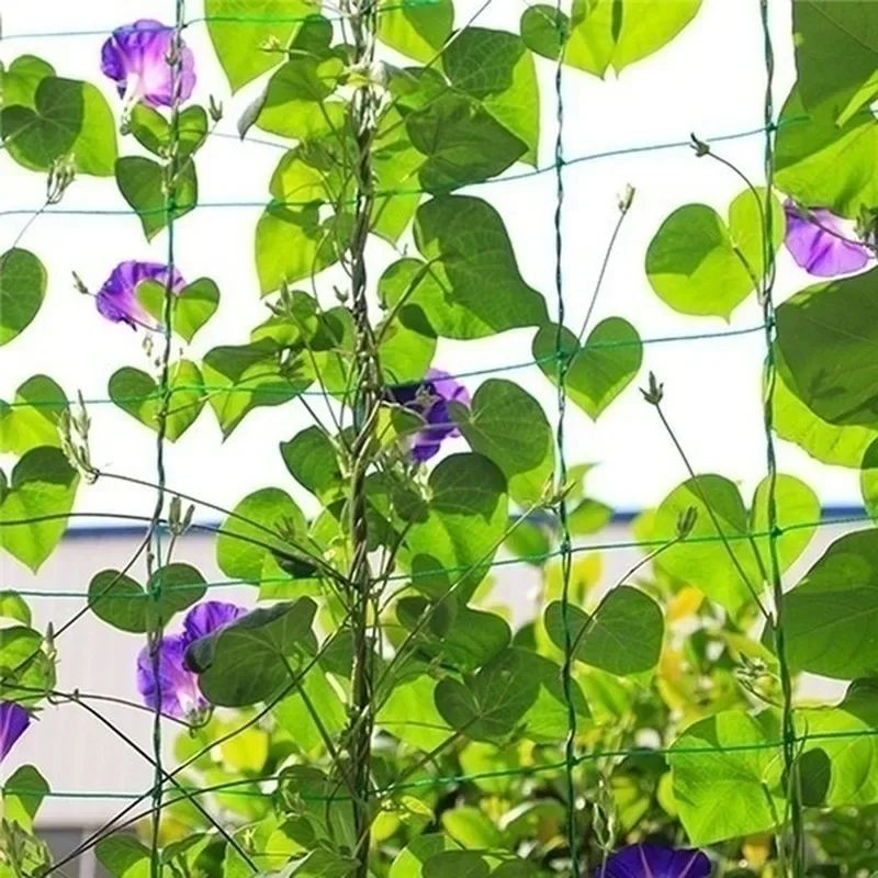 Red trepadora de plantas de jardín, red de cultivo de poliéster resistente, red de enrejado de jardín con malla cuadrada para flores, jardinería de vegetales - imagen 3