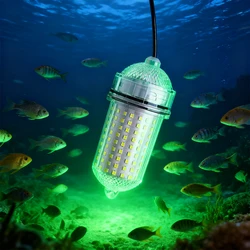 1 luz de pesca submarina de amplio alcance de 16W, luz LED fuerte para señuelos de aguas profundas, cable de conexión de 5 metros, 162 cuentas de luz