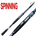 Spinning Rod