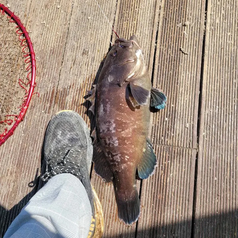 8-35 unids/bolsa anzuelos de pesca rojos 16 tamaños punta de anzuelo Triangular afilada anzuelo de mar con púas aparejos de anzuelos de pesca circulares - imagen 4