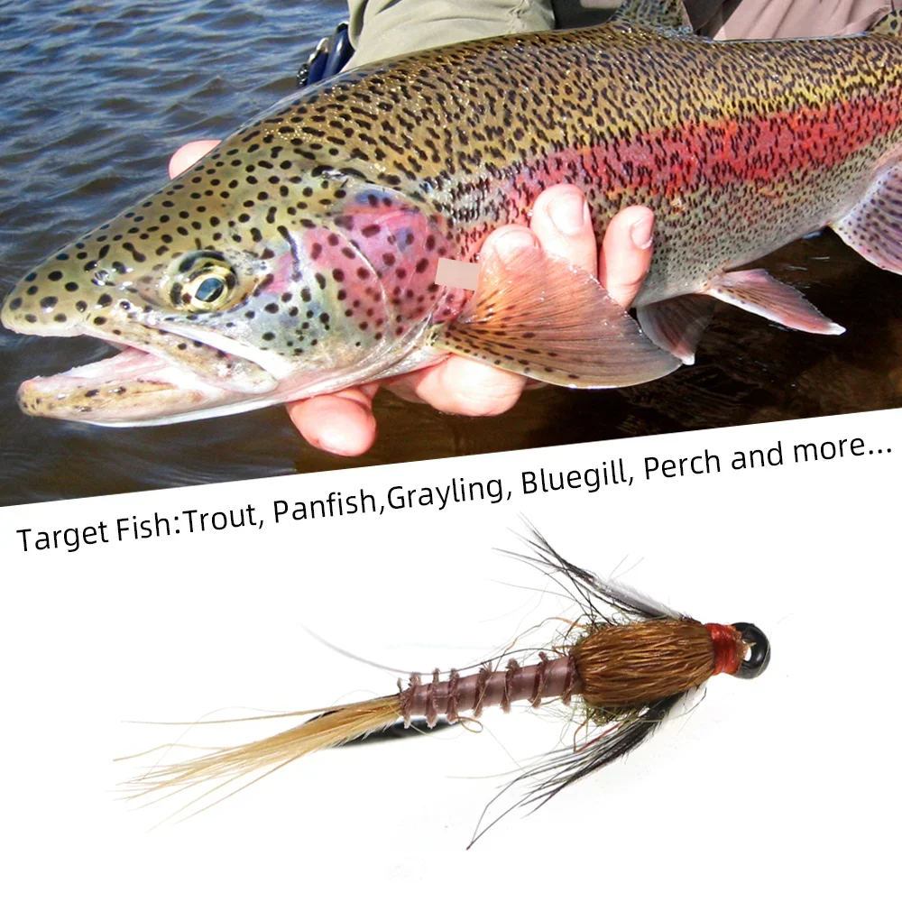 Wifreo 5 uds/10 Uds ganso marrón Biot ninfa Grizzly Hackle cebos de insectos artificiales gancho de atado de moscas con púas # 14 señuelos de pesca de trucha - imagen 4