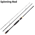 Spinning Rod