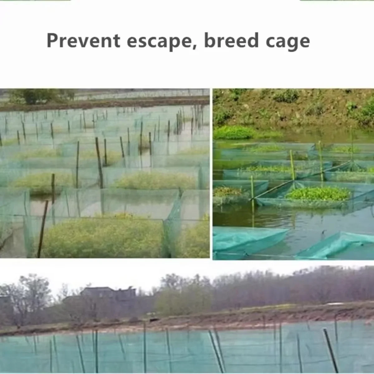 Red de cría de peces, redes de acuicultura, loach, jaulas de acuicultura, jaula de escape de cangrejos, accesorios, jaula de plantación de cultivo de peces - imagen 5