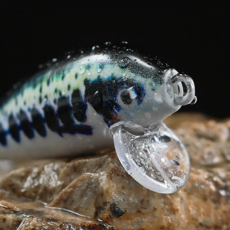 Vibrante modelo de pescado cubierto de agua que muestra su diseño detallado