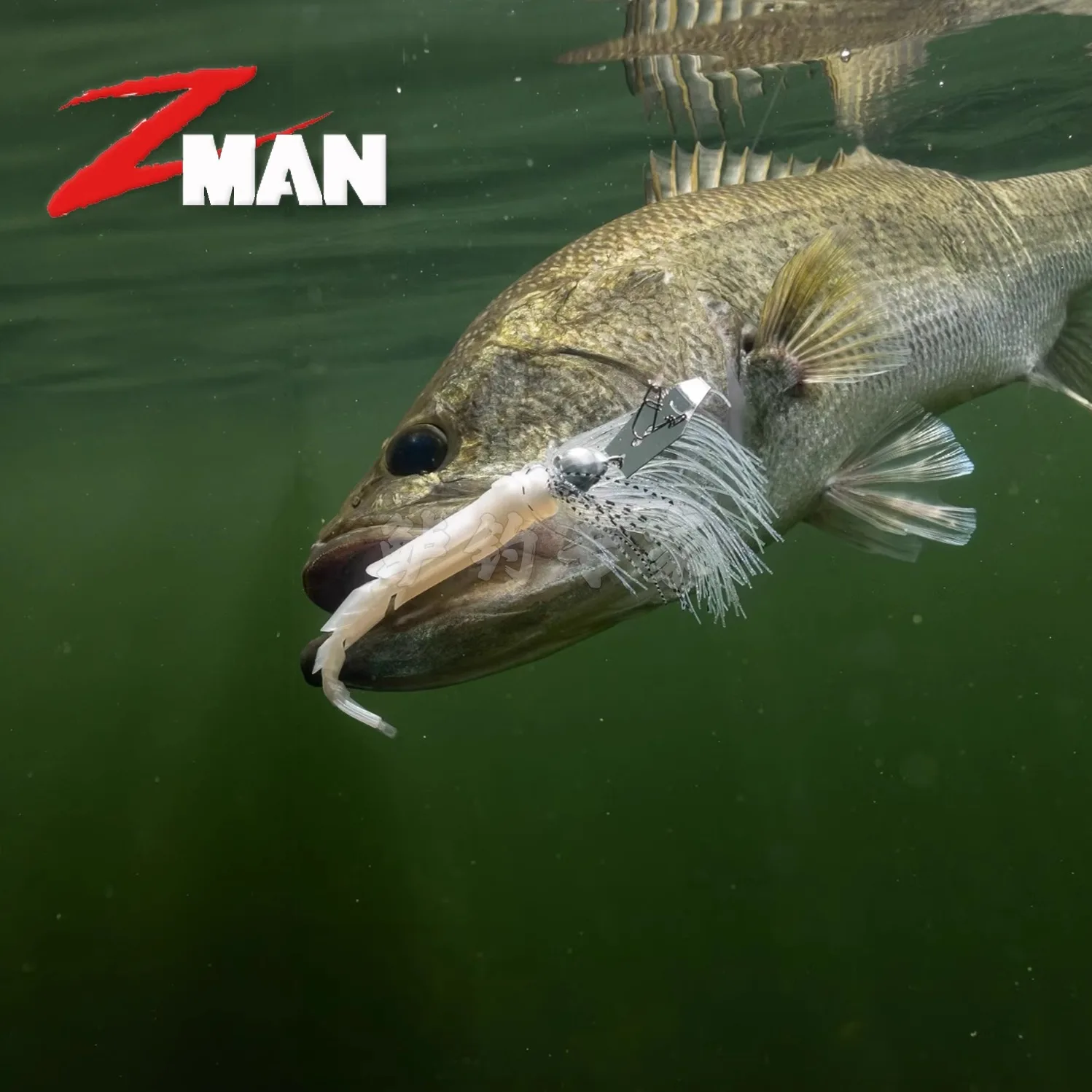 American ZMAN Soft Bait Chattershad Plantilla deflector de cebo suave con cola de ventilador de varias secciones con perca negra Luya