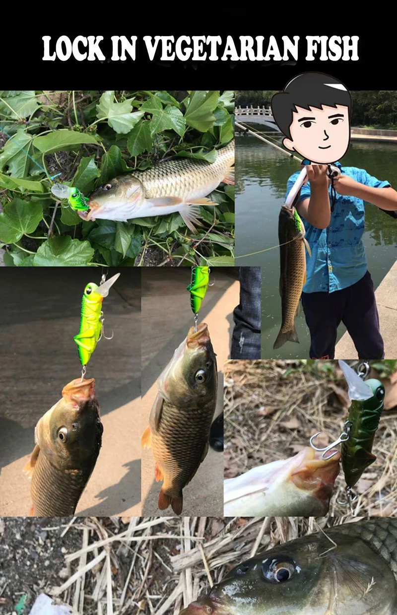 Un niño sostiene una caña de pescar y un pez