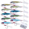 10g 10pcs